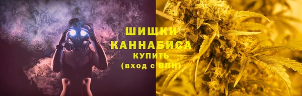 ПСИЛОЦИБИНОВЫЕ ГРИБЫ Арсеньев
