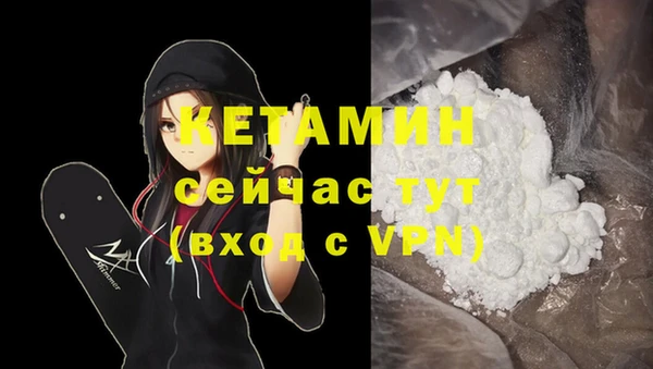 крисы Армянск