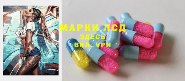 крисы Армянск
