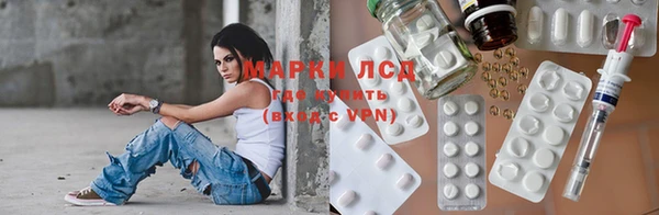 ПСИЛОЦИБИНОВЫЕ ГРИБЫ Арсеньев