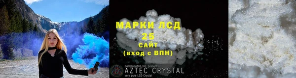ПСИЛОЦИБИНОВЫЕ ГРИБЫ Арсеньев