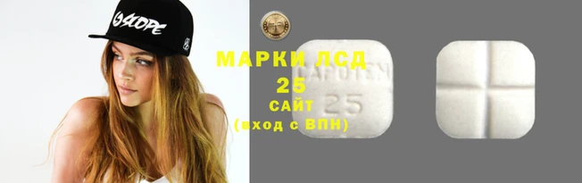 ПСИЛОЦИБИНОВЫЕ ГРИБЫ Арсеньев