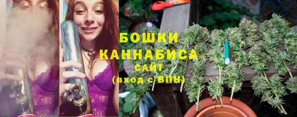 крисы Армянск