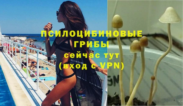 крисы Армянск