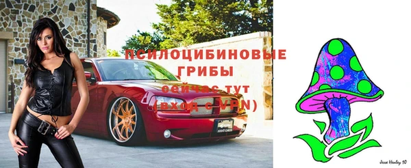 крисы Армянск