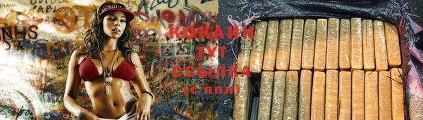 ПСИЛОЦИБИНОВЫЕ ГРИБЫ Арсеньев