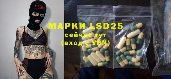 ПСИЛОЦИБИНОВЫЕ ГРИБЫ Арсеньев